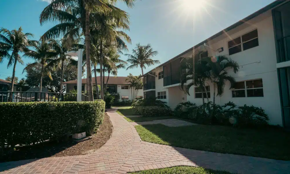 Recovery Team - Preview